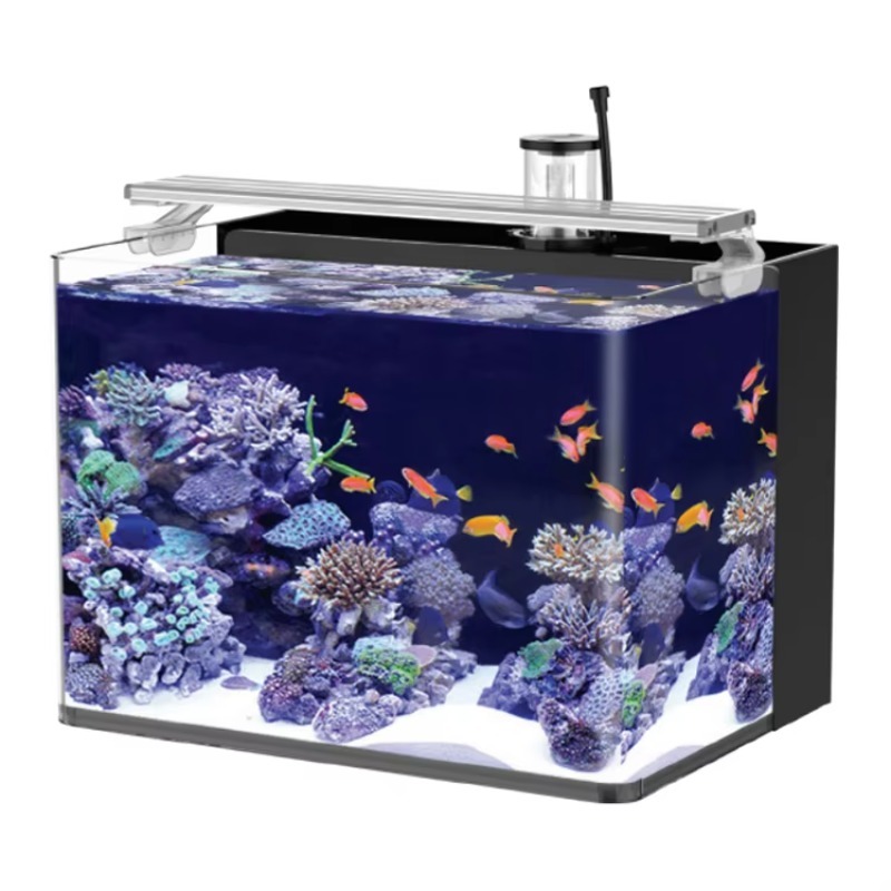 Marine Aquarium Live - テーブル型湾曲海水魚水槽、リビングルーム、寝室、オフィス用照明付き卓上水槽