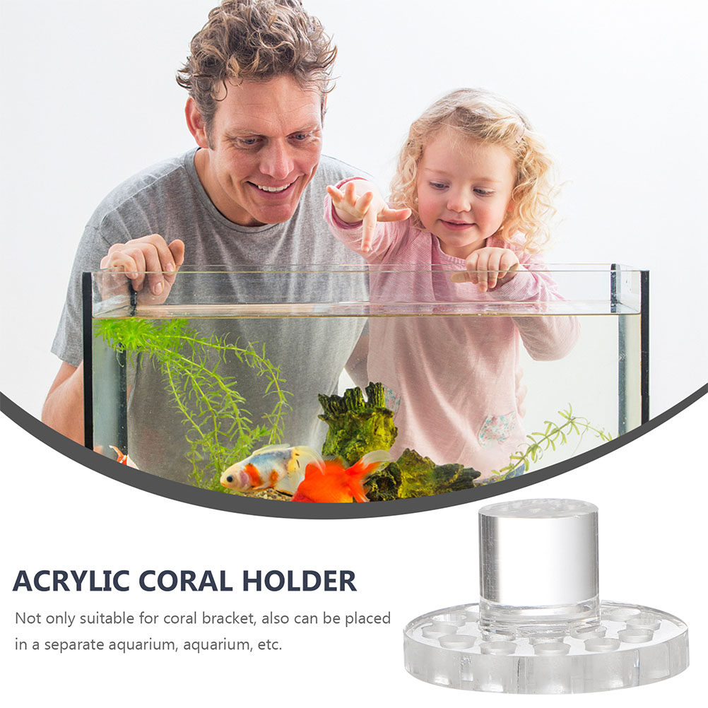 10 個アクリルコーラルフラグラックベースラウンド透明コーラ - Marine Aquarium Reef のレビューと価格