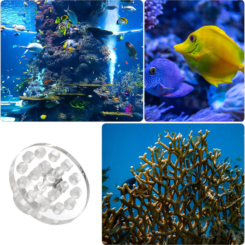 10 個アクリルコーラルフラグラックベースラウンド透明コーラ - Marine Aquarium Reef のレビューと価格