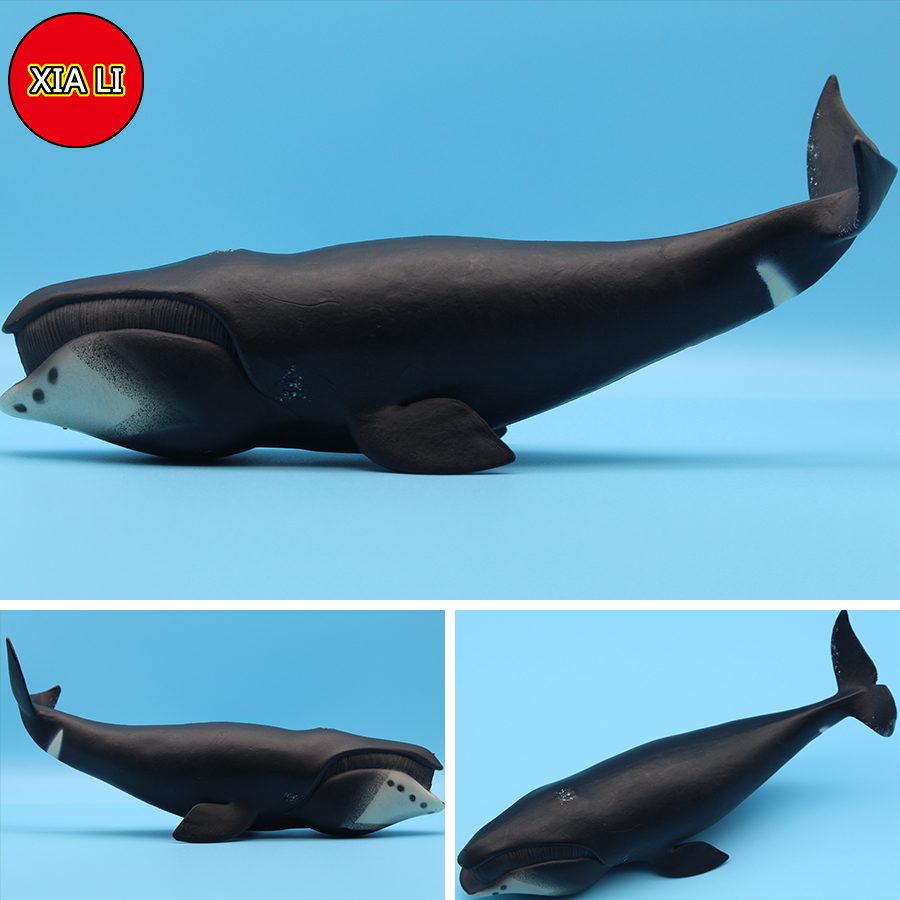 海洋生物シミュレーション シャチ ウミガザ イルカ アクショ - Marine Life Aquariums のレビューと価格