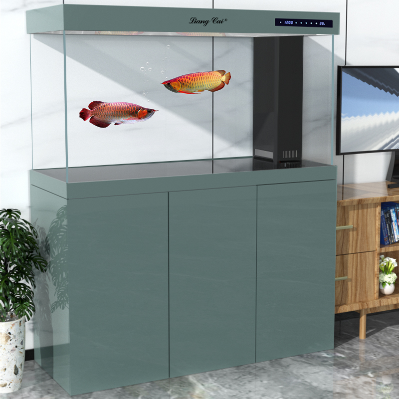 超透明モダンガラス水槽、大型魚や海洋生物用の高品質水中ポンプ - Marine Aquarium Live のレビューと価格