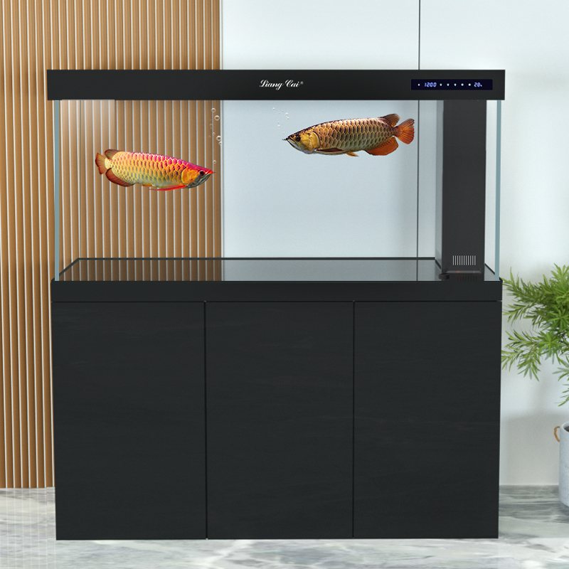 超透明モダンガラス水槽、大型魚や海洋生物用の高品質水中ポンプ - Marine Aquarium Live のレビューと価格