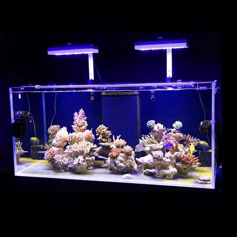 アクアイルミネーション AI ハイドラ 32HD/64HD  - Marine Aquarium Reef のレビューと価格