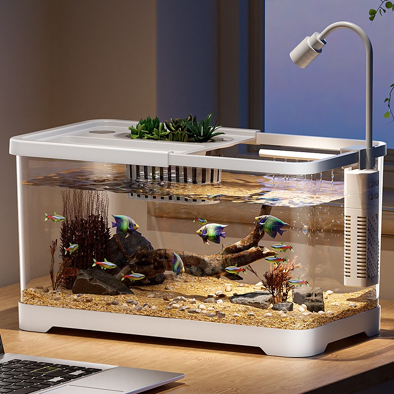 水槽 家庭用水槽 リビングルーム 卓上 生態循環水槽 フィル - Marine Aquarium Live のレビューと価格