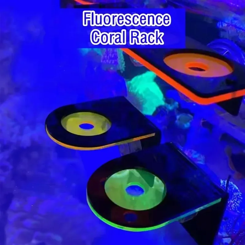 水槽用アクリル製蛍光サンゴブラケットホルダー SPSブラケッ - Marine Aquarium Reef のレビューと価格