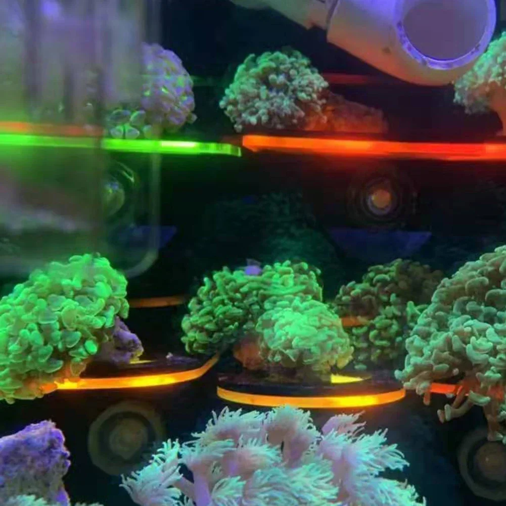 水槽用アクリル製蛍光サンゴブラケットホルダー SPSブラケッ - Marine Aquarium Reef のレビューと価格