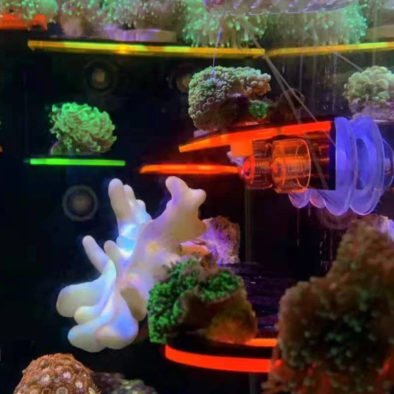 水槽用アクリル製蛍光サンゴブラケットホルダー SPSブラケッ - Marine Aquarium Reef のレビューと価格