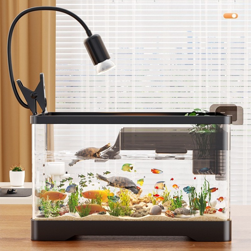 アクリル製水槽 超透明 生態系水槽 透明プラスチック製 卓上 - Marine Aquarium Live のレビューと価格