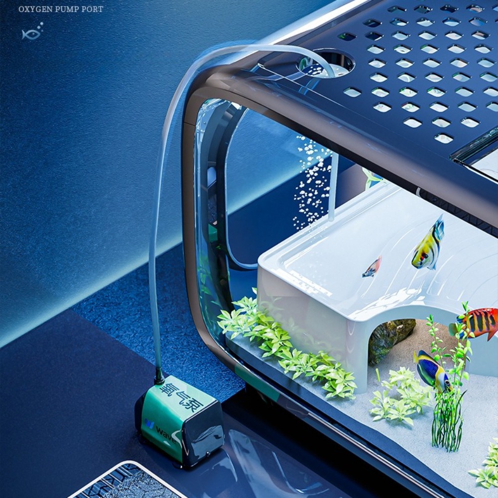 透明な高級水槽、耐久性のあるリビングルーム装飾、小型金魚水槽 - Marine Aquarium Live のレビューと価格