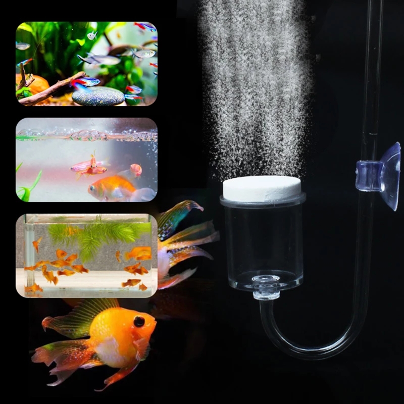 水族館用CO2ディフューザー,日曜大工のガラスタンク,バブル - Marine Aquarium Live のレビューと価格