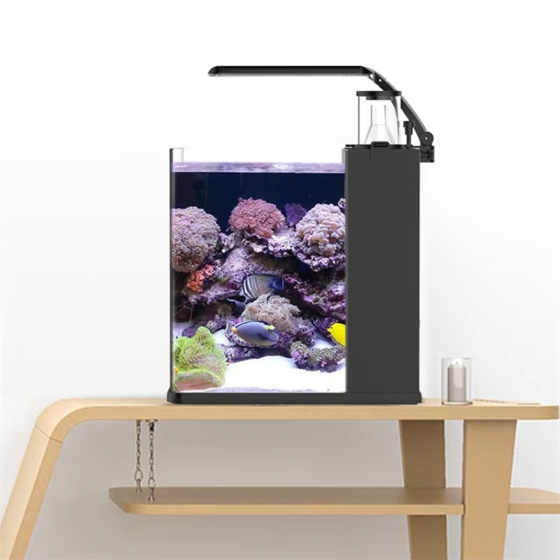 テーブル型湾曲海水魚水槽、リビングルーム、寝室、オフィス用照 - Marine Aquarium Live のレビューと価格