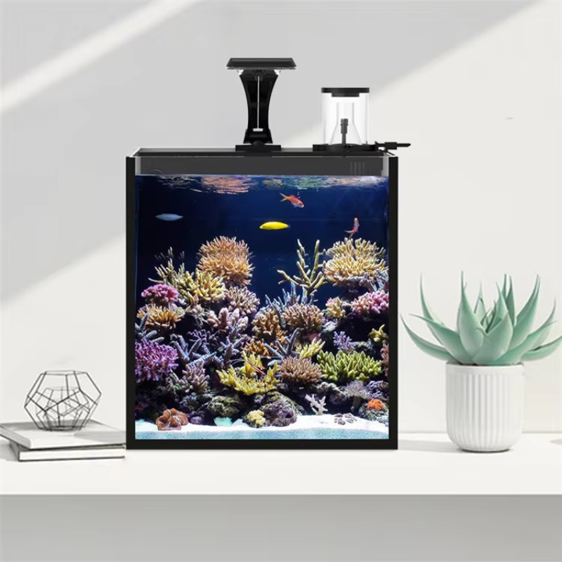 テーブル型湾曲海水魚水槽、リビングルーム、寝室、オフィス用照 - Marine Aquarium Live のレビューと価格